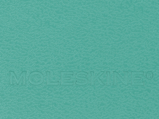 Записная книжка А5  (Large) Classic (в линейку)