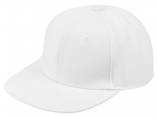 Бейсболка с прямым козырьком «Los Angeles 2.0»