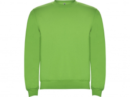 Свитшот с начесом «Clasica» детский